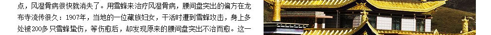 龙布峰针贴正品官网