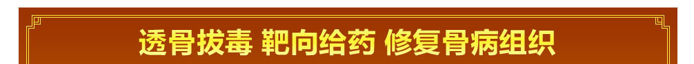 龙布峰针贴正品官网