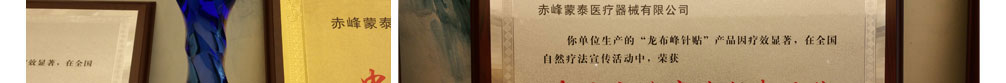 龙布峰针贴正品官网